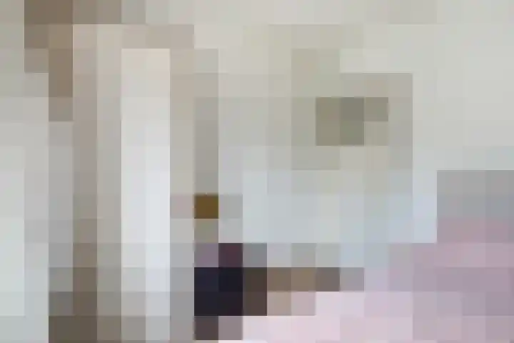 Homeruslaan 26 1 Utrecht thumbnail 18