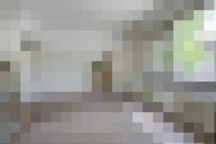 Homeruslaan 26 1 Utrecht thumbnail 20