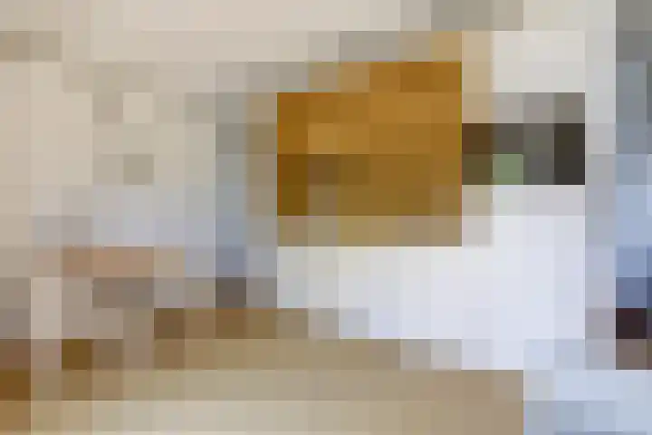 Homeruslaan 26 1 Utrecht thumbnail 26