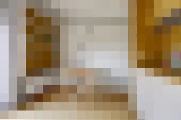 Homeruslaan 26 1 Utrecht thumbnail 28