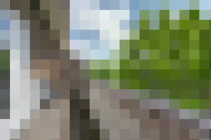Homeruslaan 26 1 Utrecht thumbnail 30