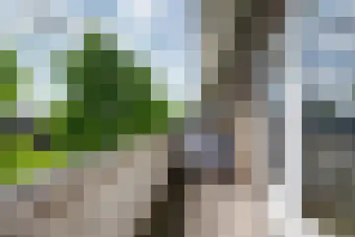 Homeruslaan 26 1 Utrecht thumbnail 31