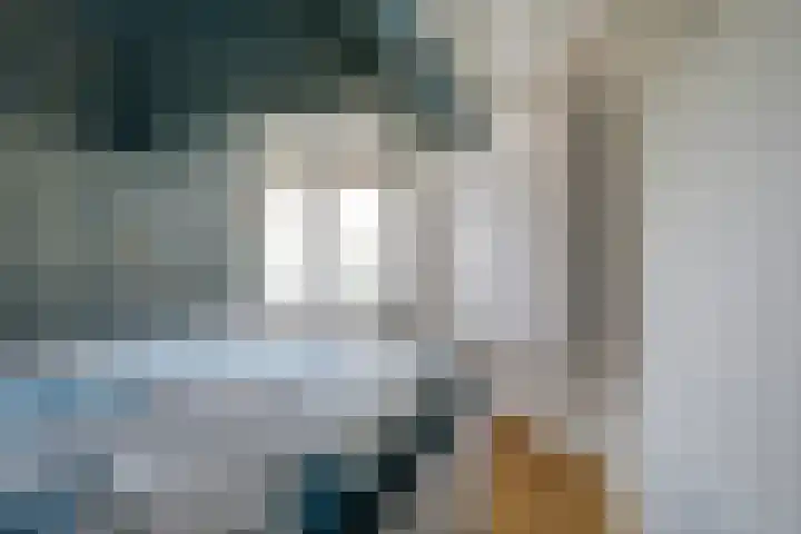 Homeruslaan 26 1 Utrecht thumbnail 32