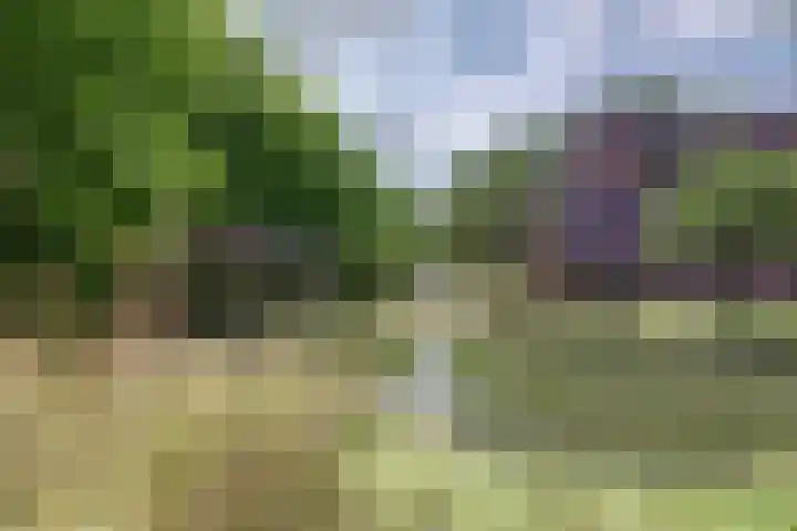 Homeruslaan 26 1 Utrecht thumbnail 39