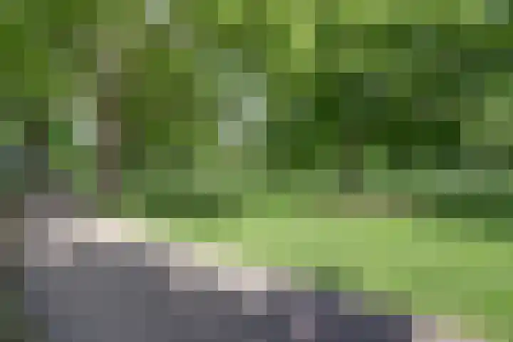 Homeruslaan 26 1 Utrecht thumbnail 40