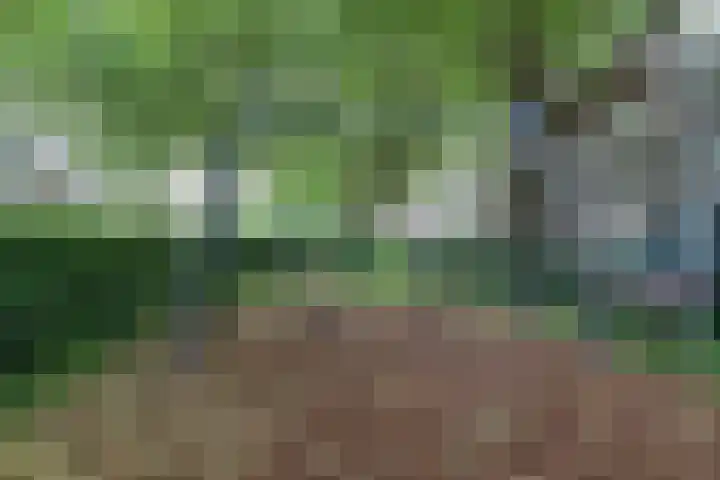 Homeruslaan 26 1 Utrecht thumbnail 41