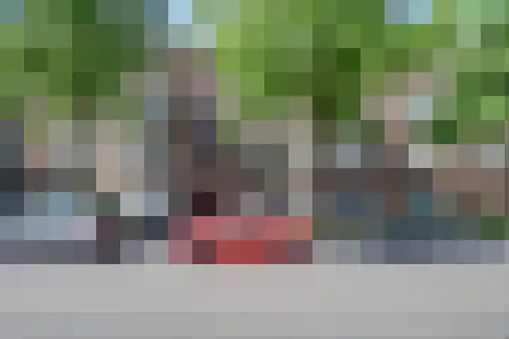 Homeruslaan 26 1 Utrecht thumbnail 45