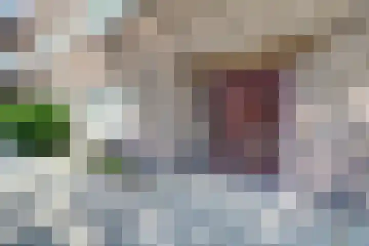 Homeruslaan 26 1 Utrecht thumbnail 7