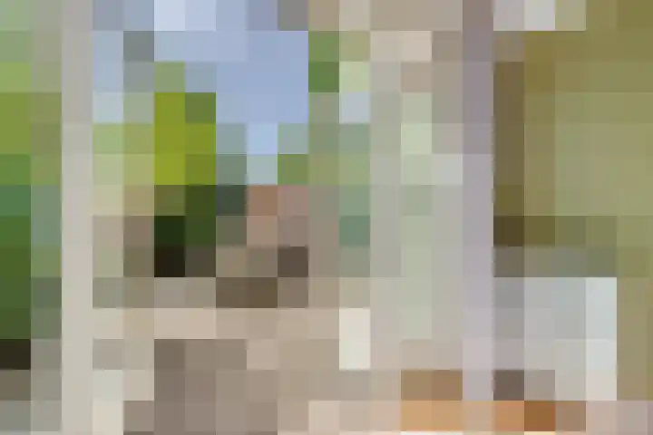 Homeruslaan 35 Utrecht thumbnail 11