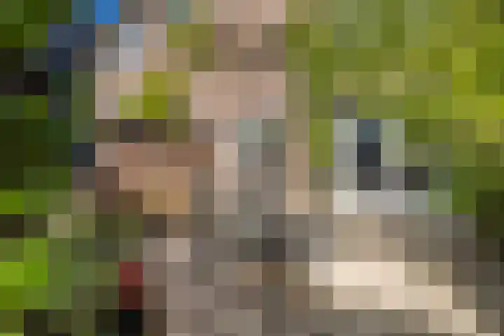 Homeruslaan 35 Utrecht thumbnail 12