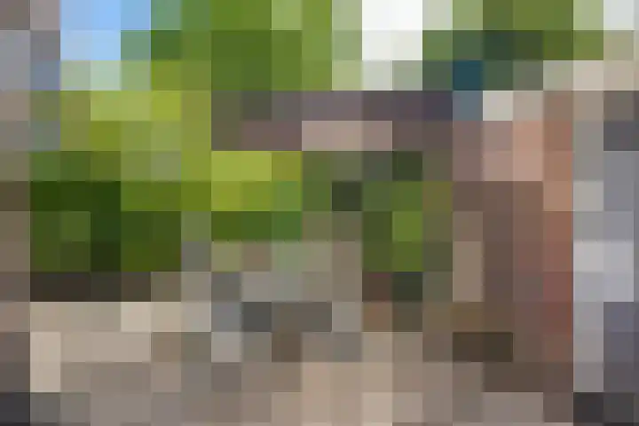 Homeruslaan 35 Utrecht thumbnail 13