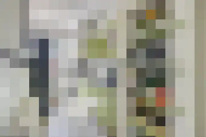 Homeruslaan 35 Utrecht thumbnail 14