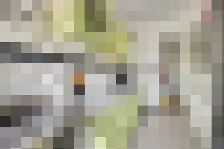 Homeruslaan 35 Utrecht thumbnail 15