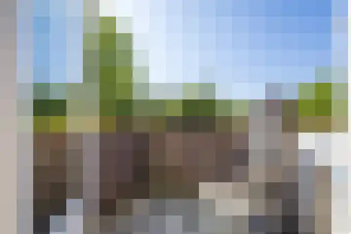 Homeruslaan 35 Utrecht thumbnail 17
