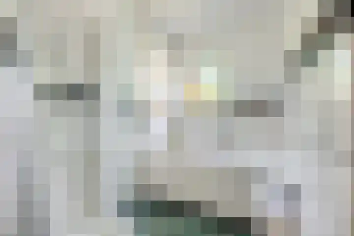 Homeruslaan 35 Utrecht thumbnail 21