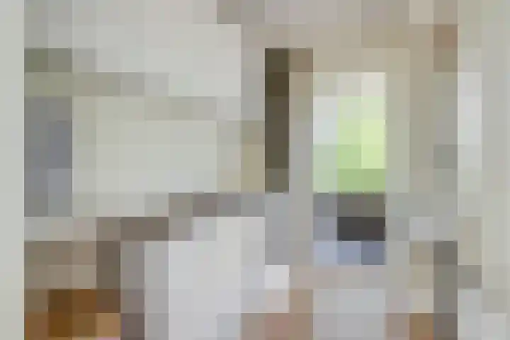 Homeruslaan 35 Utrecht thumbnail 22