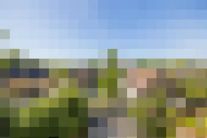 Homeruslaan 35 Utrecht thumbnail 26