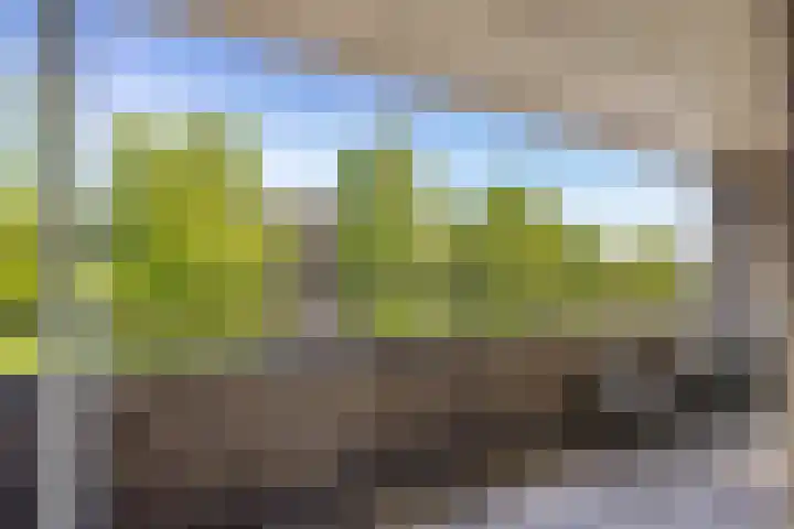 Homeruslaan 35 Utrecht thumbnail 27