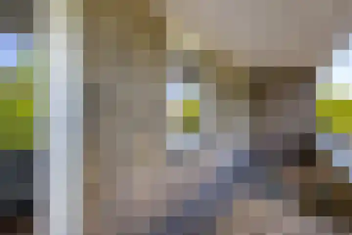 Homeruslaan 35 Utrecht thumbnail 28