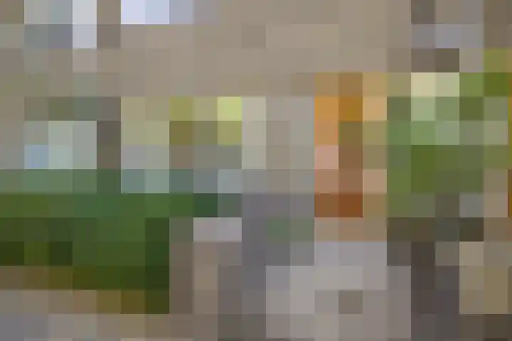 Homeruslaan 35 Utrecht thumbnail 5