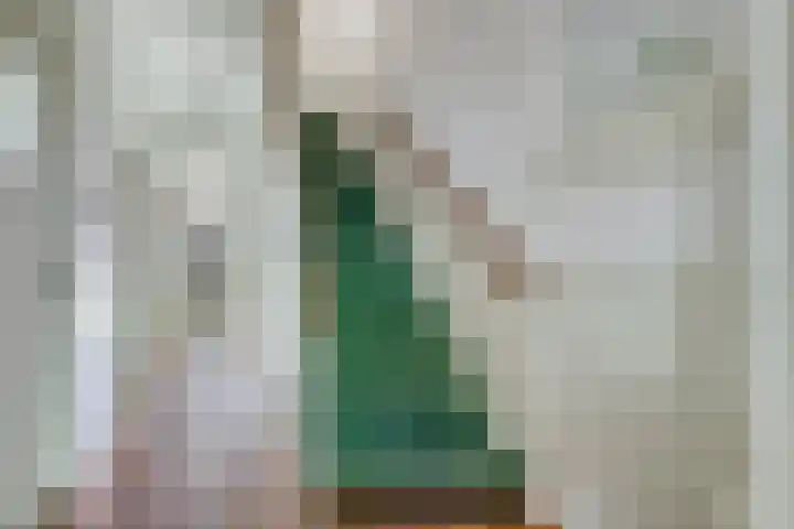 Homeruslaan 35 Utrecht thumbnail 6