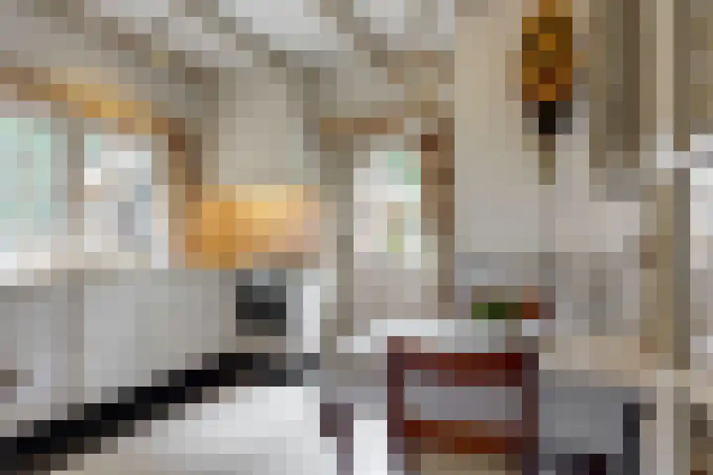 Homeruslaan 4 Zeist thumbnail 13