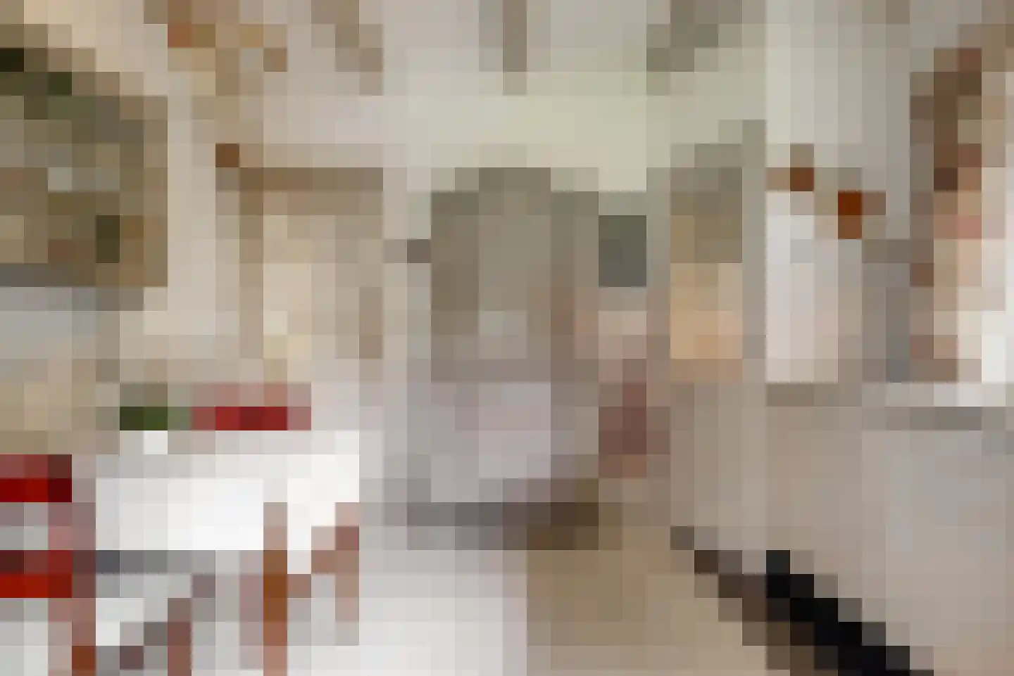 Homeruslaan 4 Zeist thumbnail 14