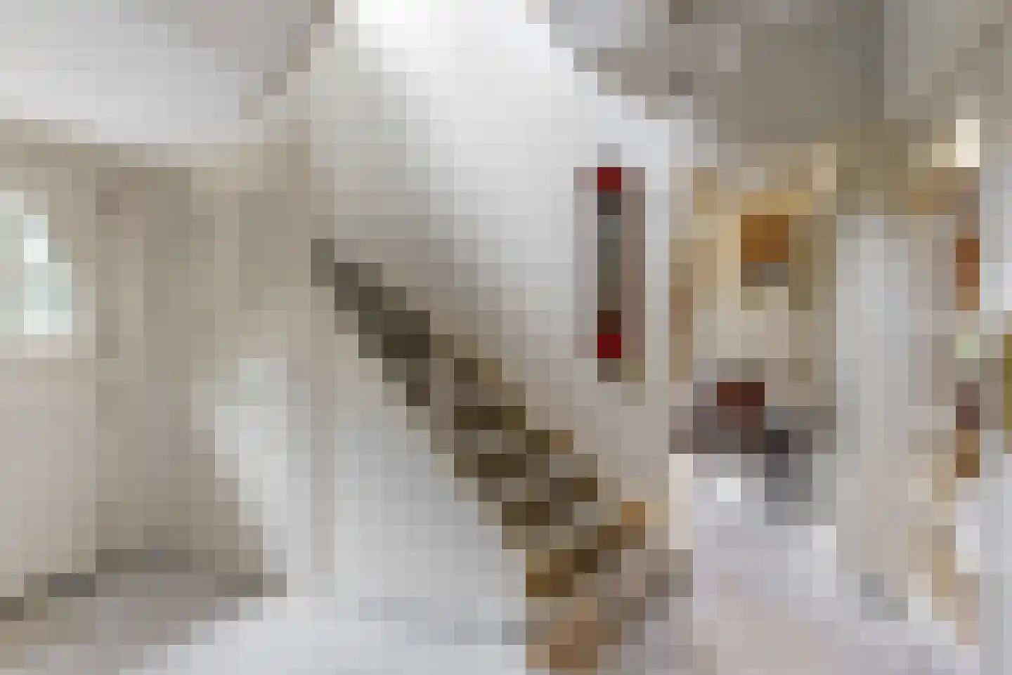 Homeruslaan 4 Zeist thumbnail 17