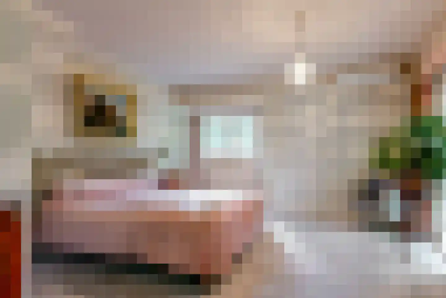 Homeruslaan 4 Zeist thumbnail 21