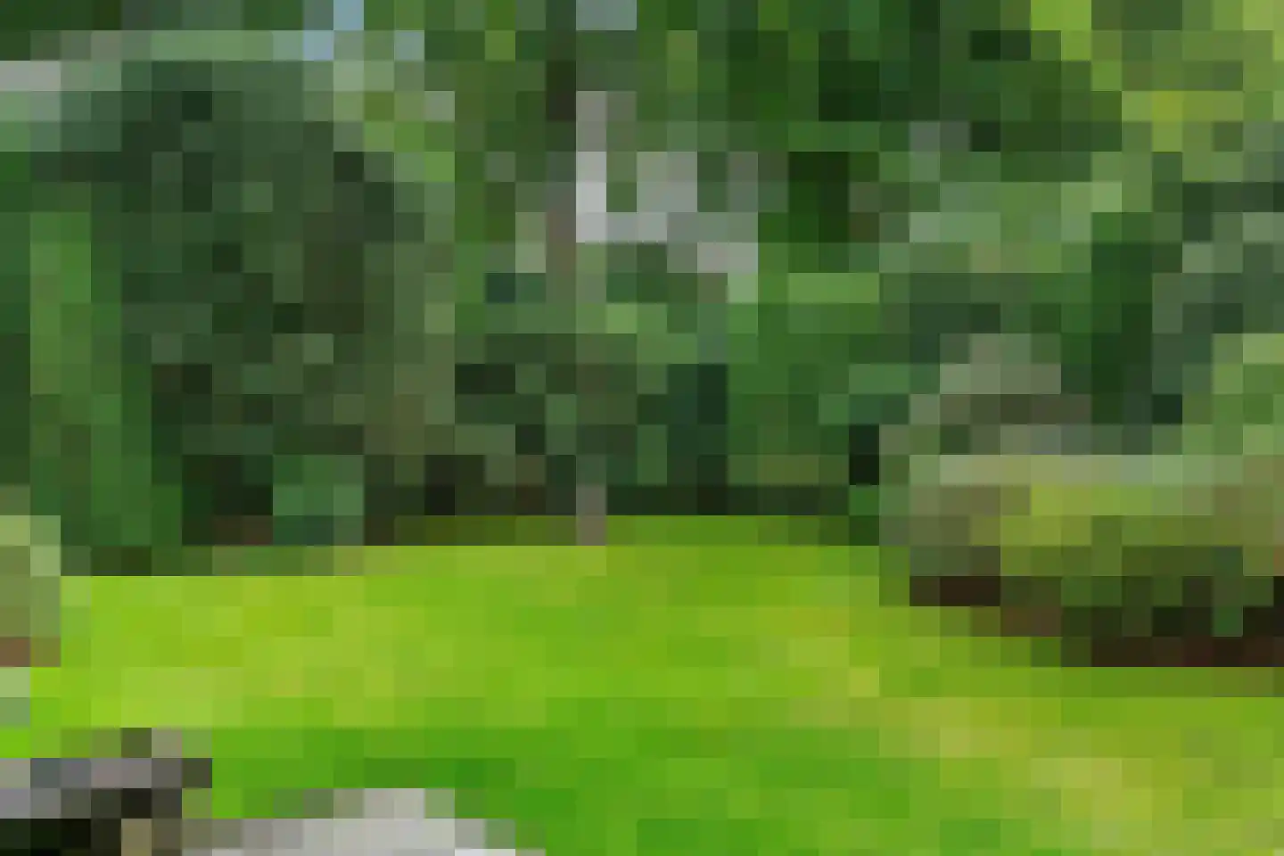 Homeruslaan 4 Zeist thumbnail 35