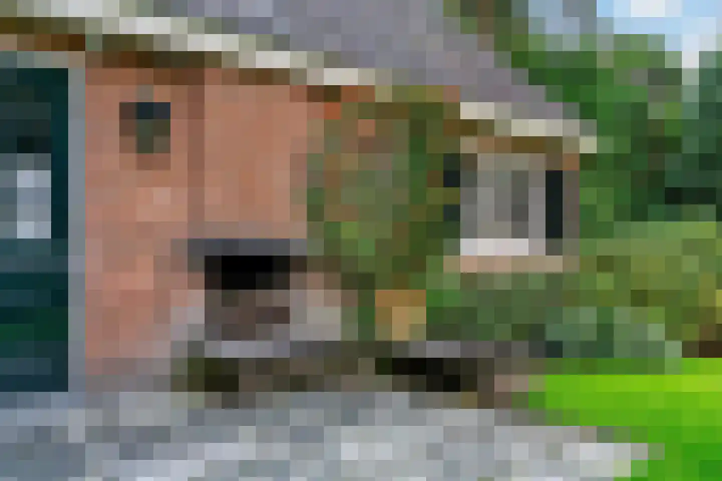 Homeruslaan 4 Zeist thumbnail 39