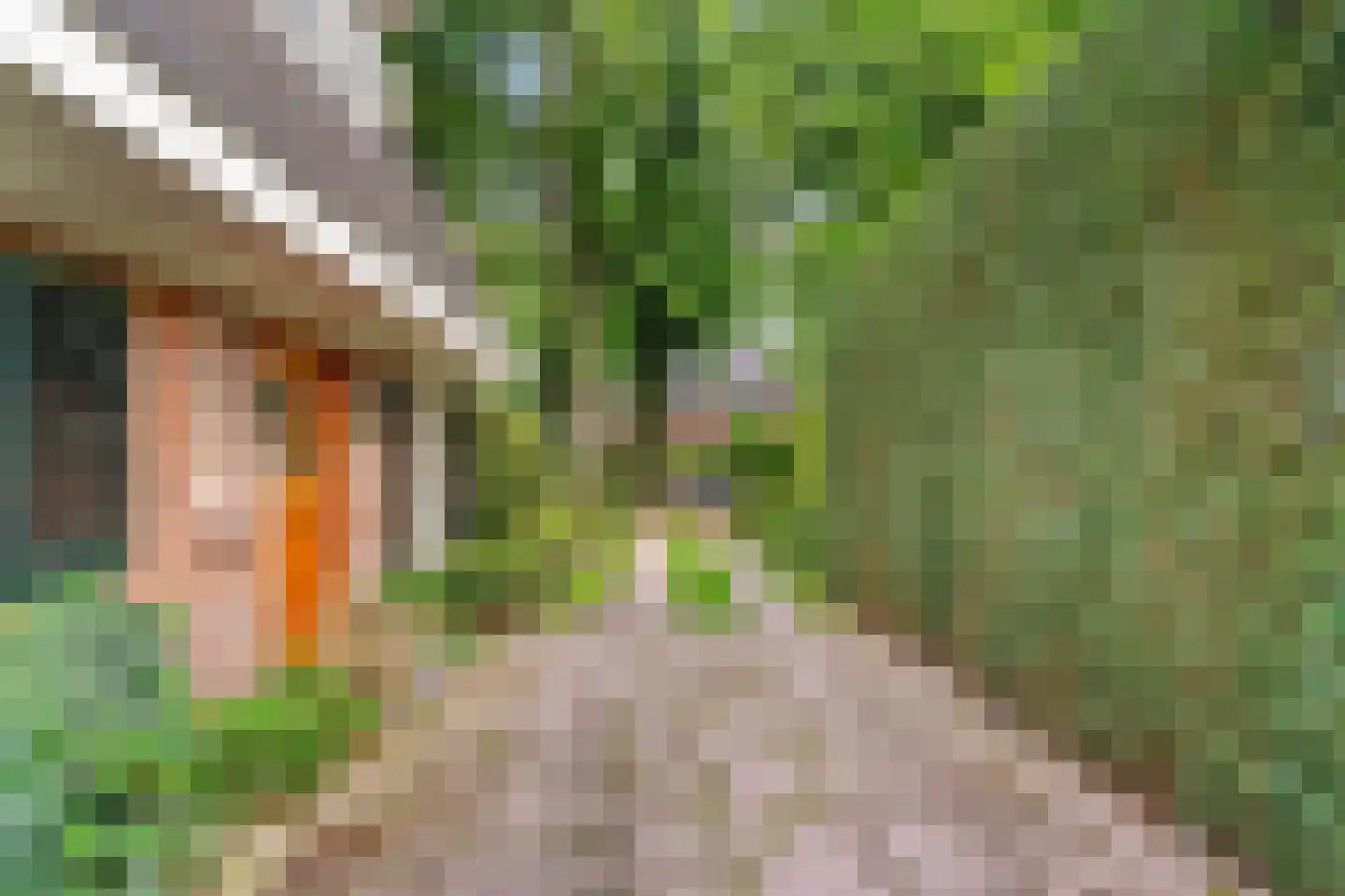 Homeruslaan 4 Zeist thumbnail 45