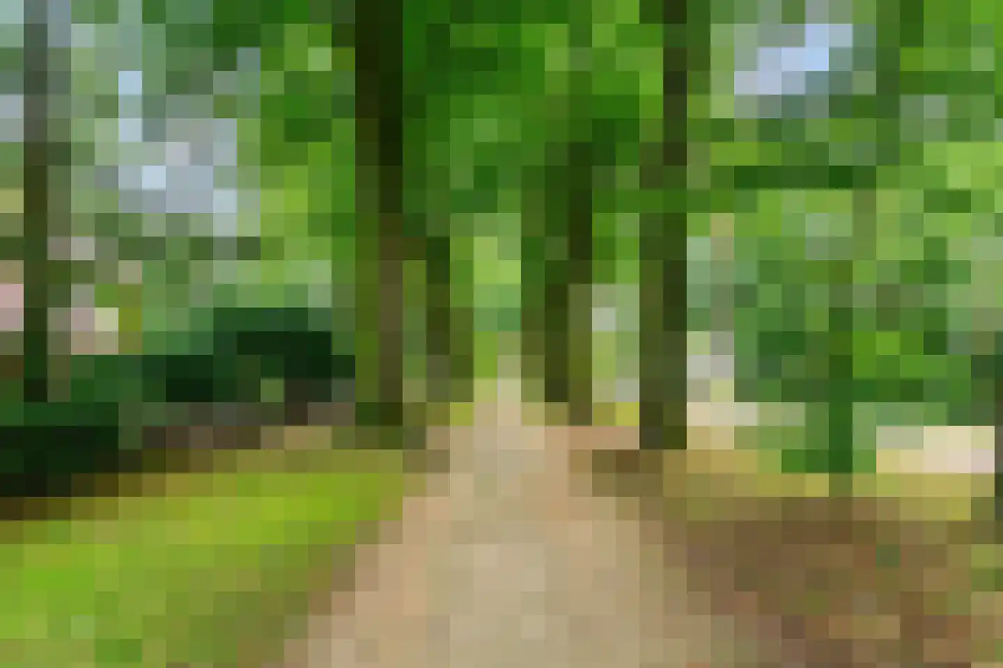 Homeruslaan 4 Zeist thumbnail 46