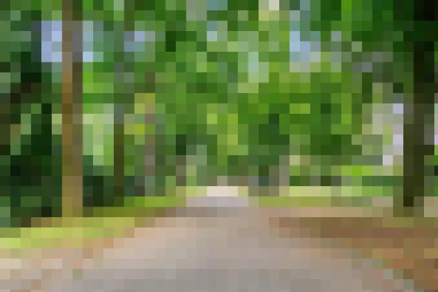 Homeruslaan 4 Zeist thumbnail 47