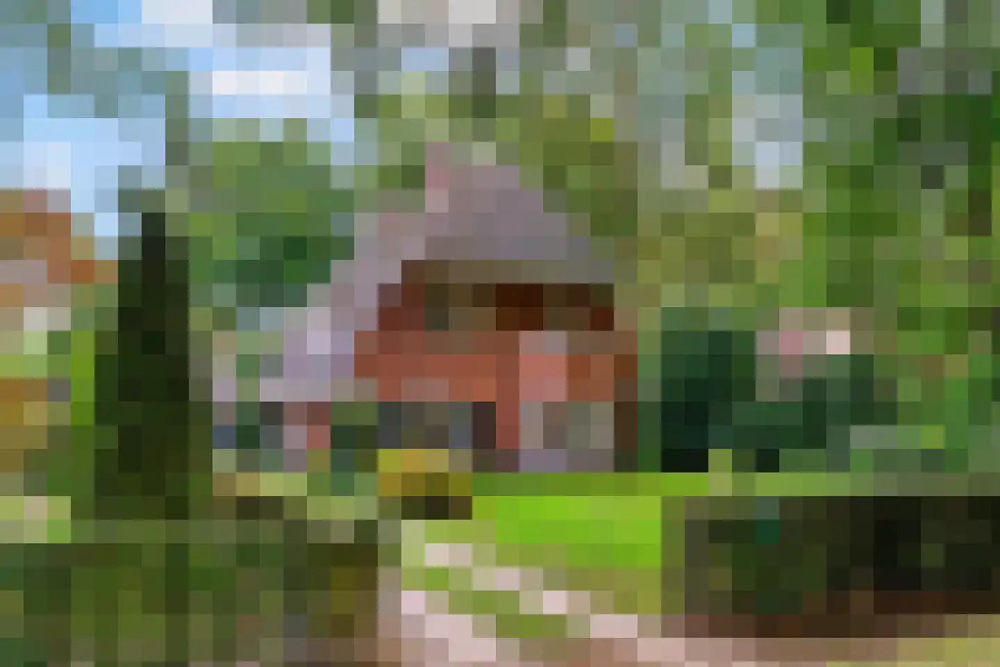 Homeruslaan 4 Zeist thumbnail 48