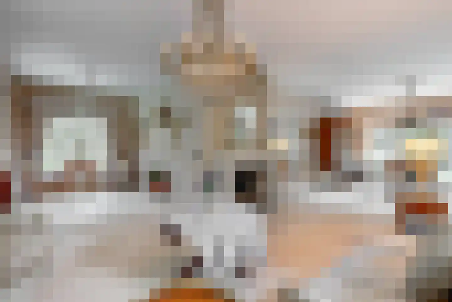 Homeruslaan 4 Zeist thumbnail 5