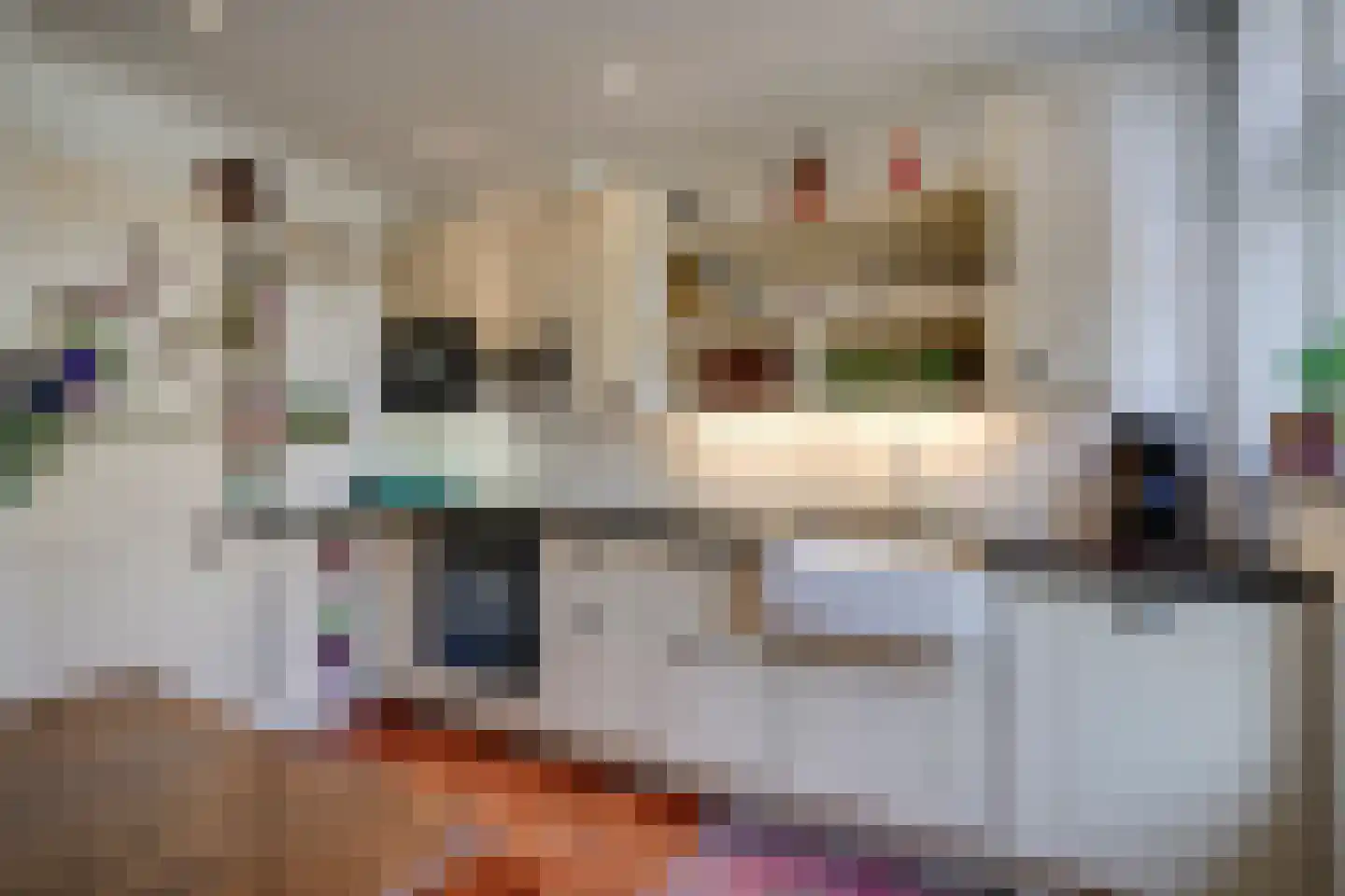 Homeruslaan 44 Utrecht thumbnail 15