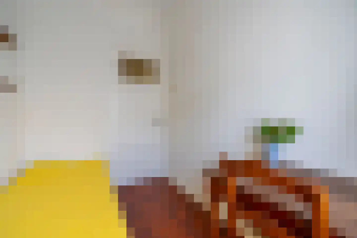 Homeruslaan 44 Utrecht thumbnail 25