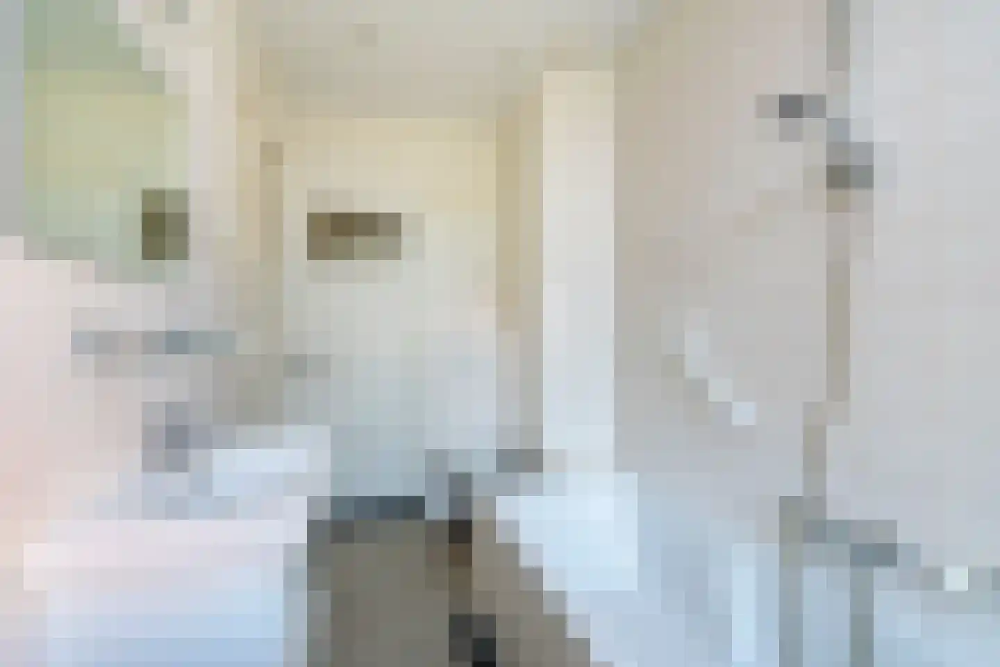 Homeruslaan 44 Utrecht thumbnail 27