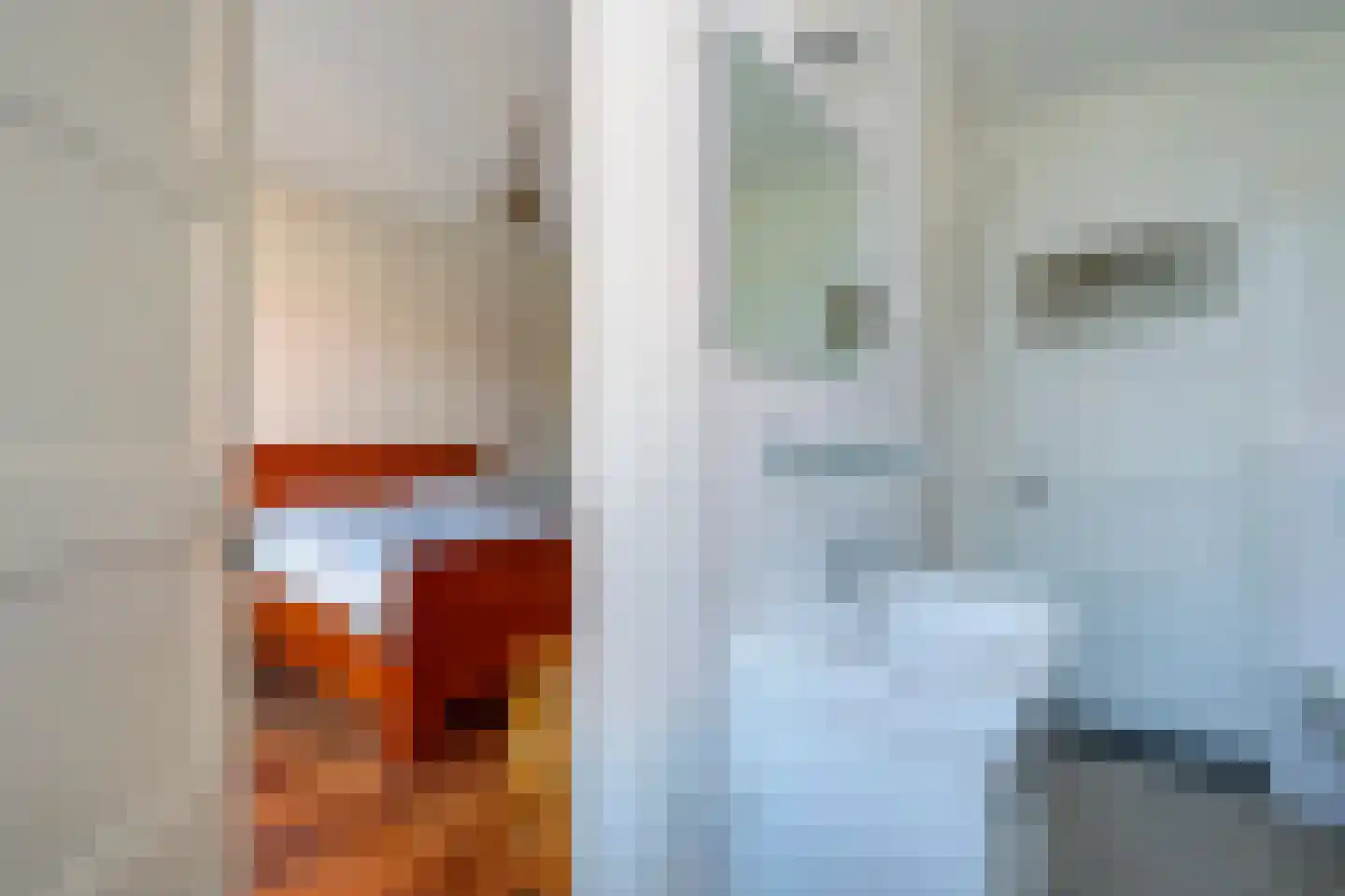 Homeruslaan 44 Utrecht thumbnail 28