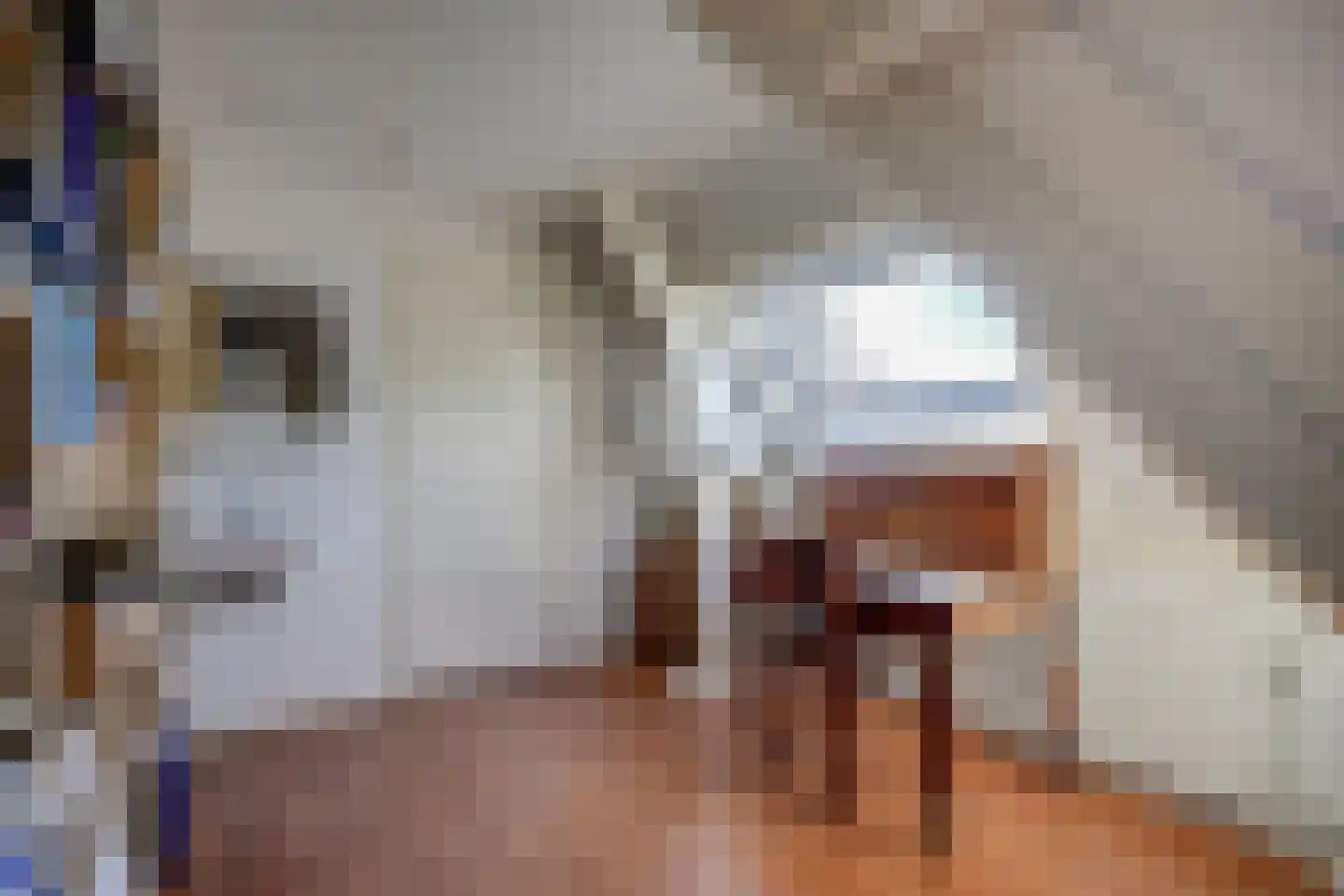 Homeruslaan 44 Utrecht thumbnail 34
