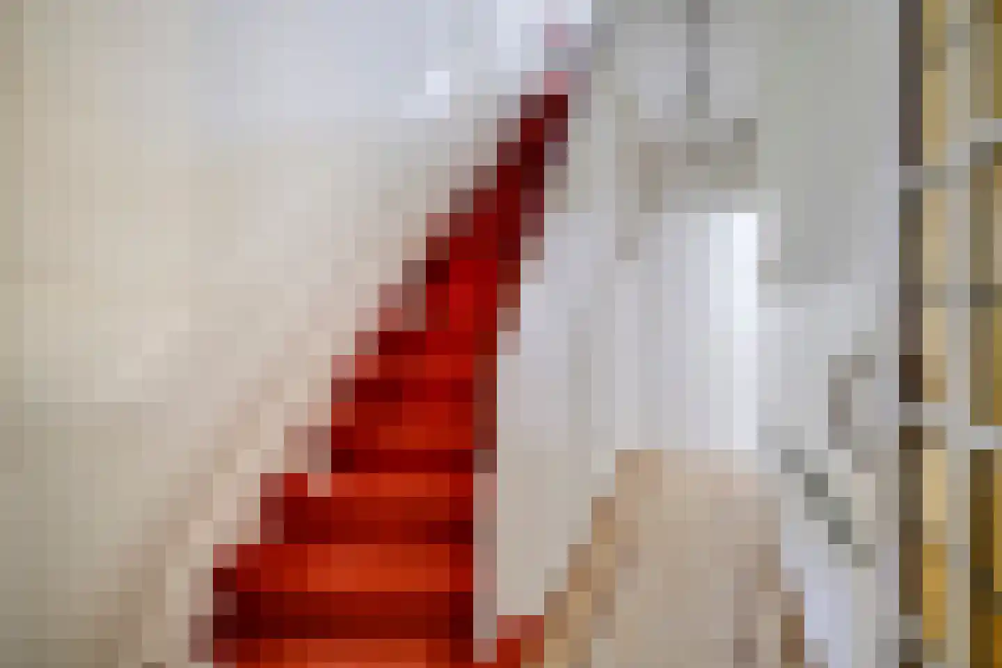 Homeruslaan 44 Utrecht thumbnail 5