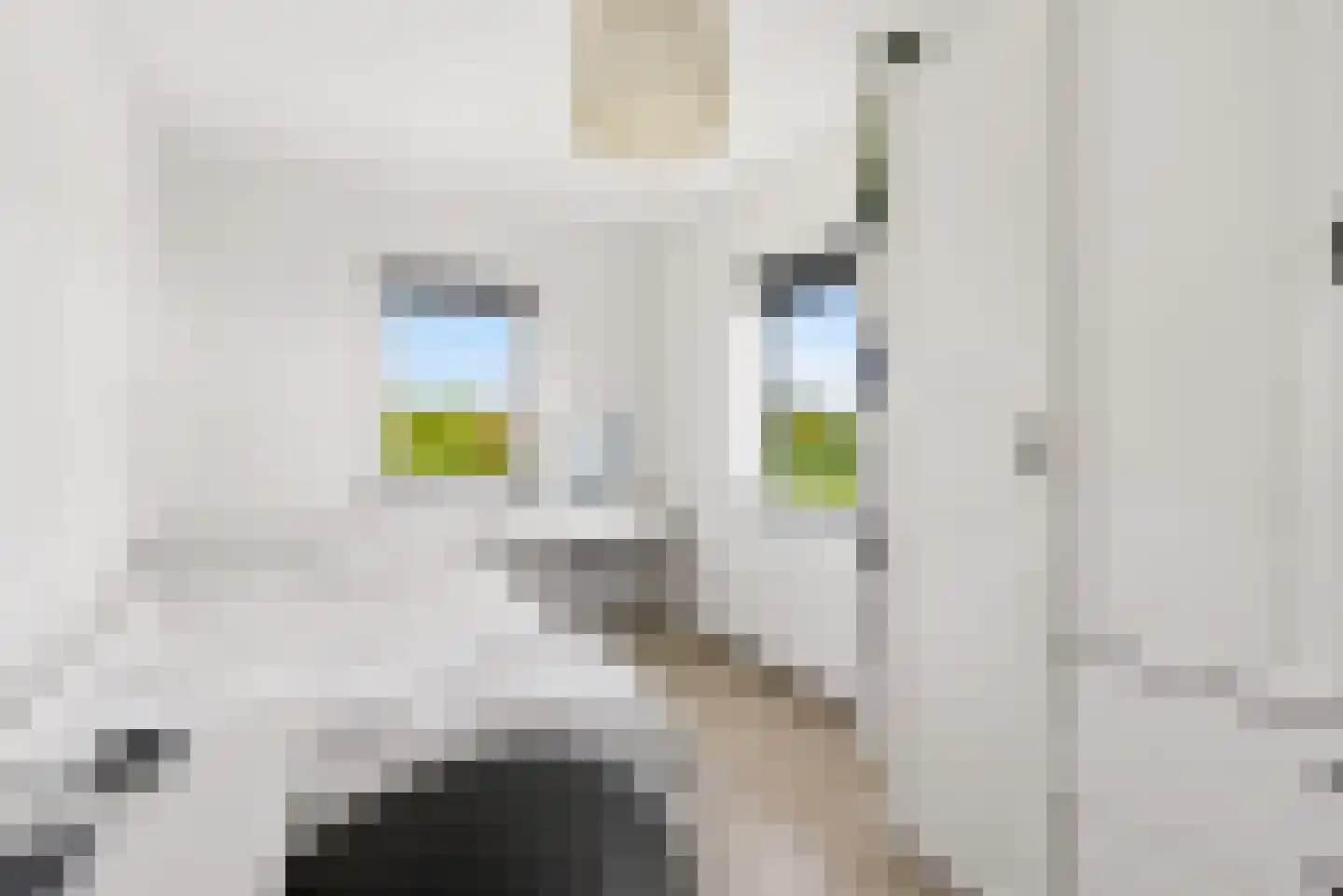 Homeruslaan 49 Almere thumbnail 41