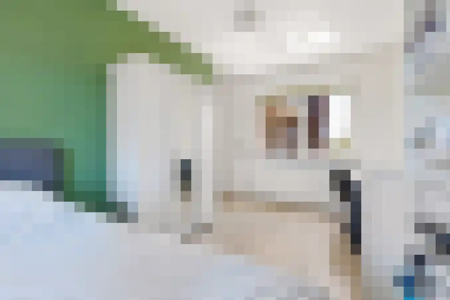 Homeruslaan 49 Almere thumbnail 47
