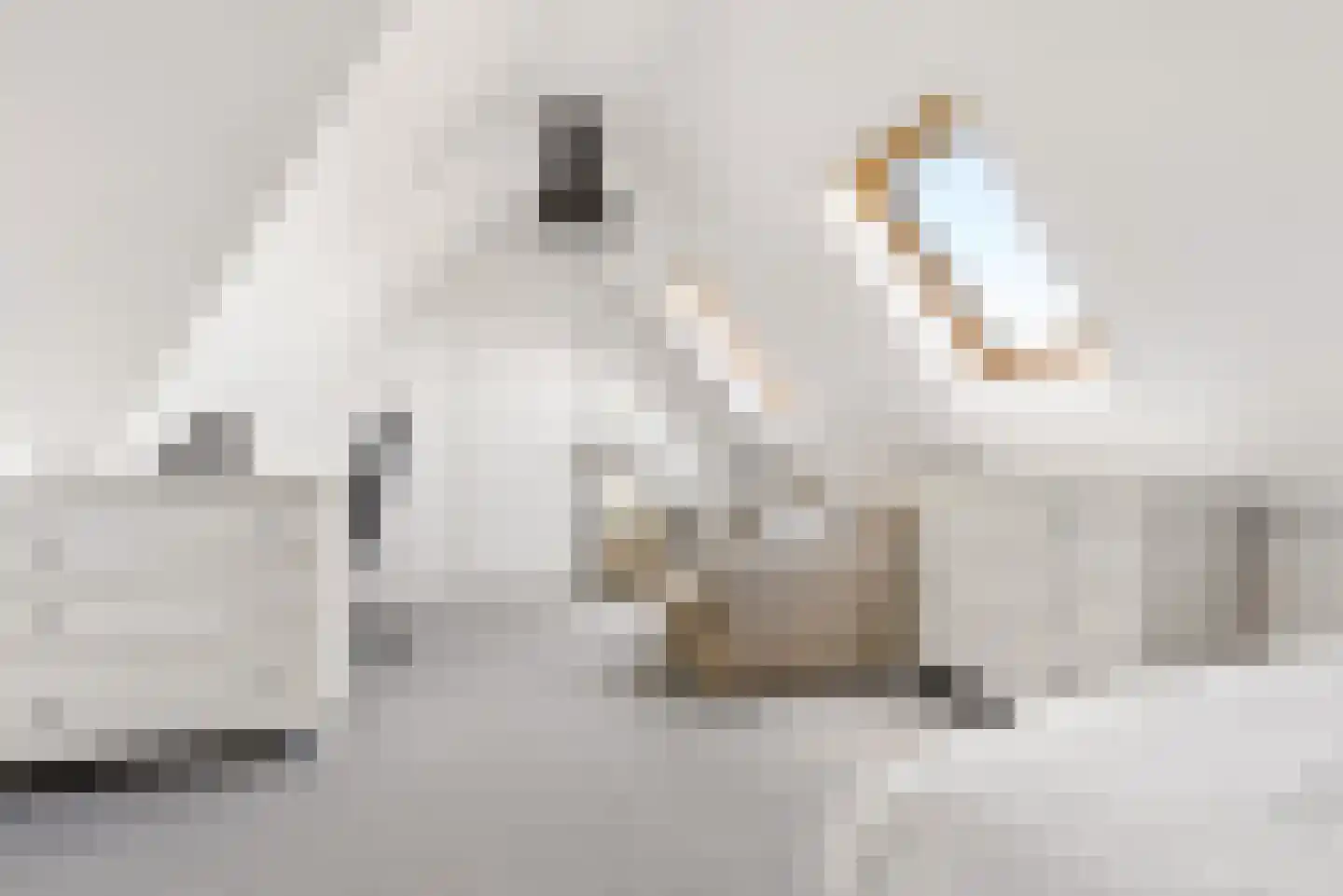 Homeruslaan 49 Almere thumbnail 54