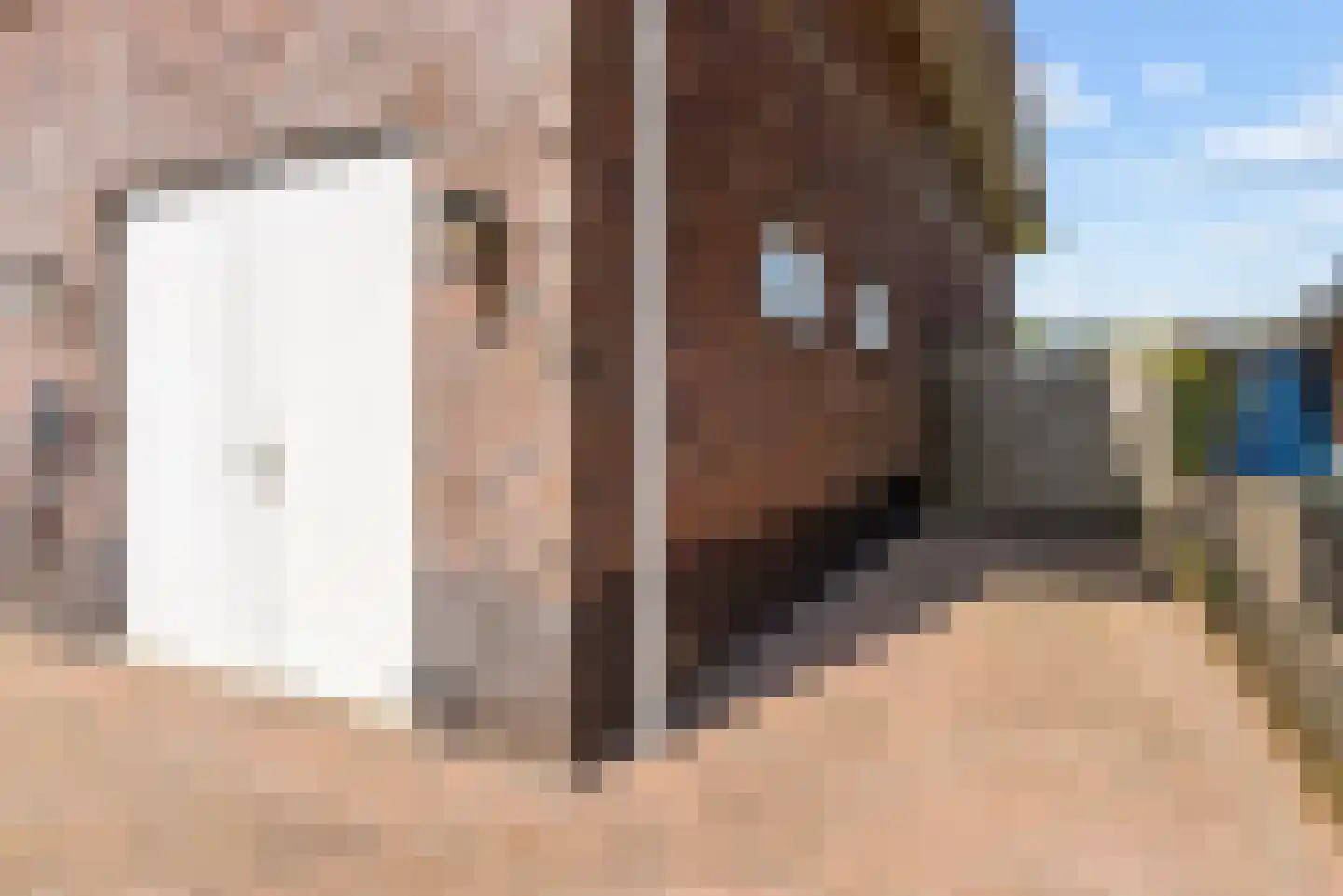 Homeruslaan 49 Almere thumbnail 64