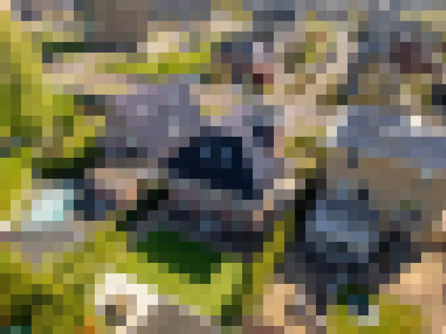 Homeruslaan 49 Almere thumbnail 67