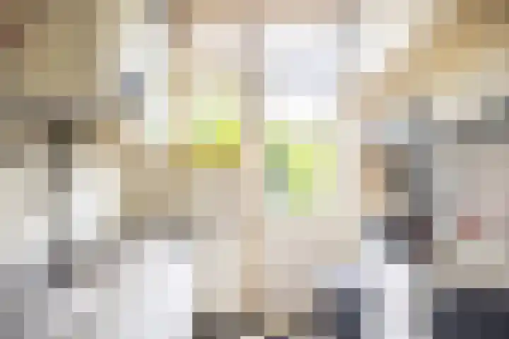 Homeruslaan 55 Utrecht thumbnail 12