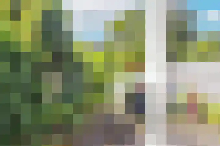 Homeruslaan 55 Utrecht thumbnail 15
