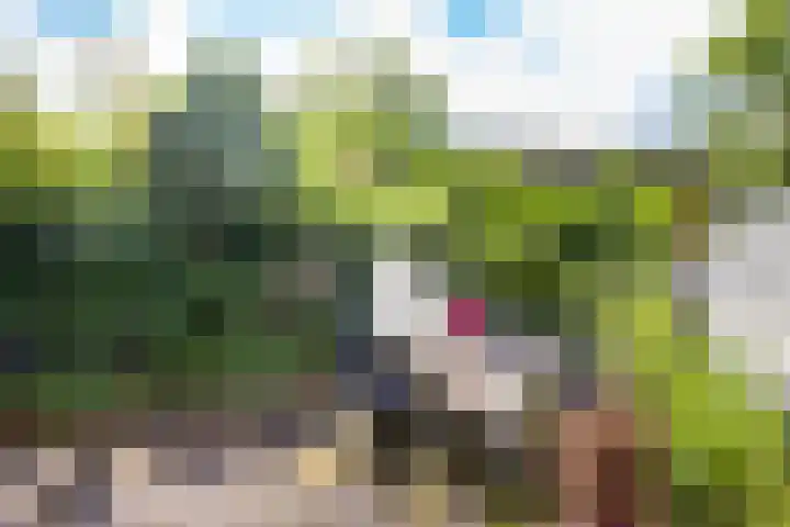 Homeruslaan 55 Utrecht thumbnail 16